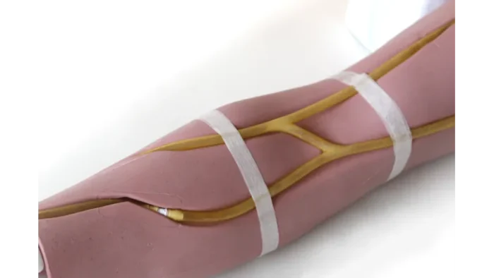 Standard Venipuncture Arm - Image 8
