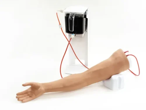 Standard Venipuncture Arm