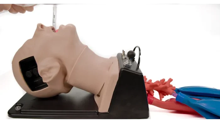 AirSim Difficult Airway Training Manikin with Bronchi - Image 2