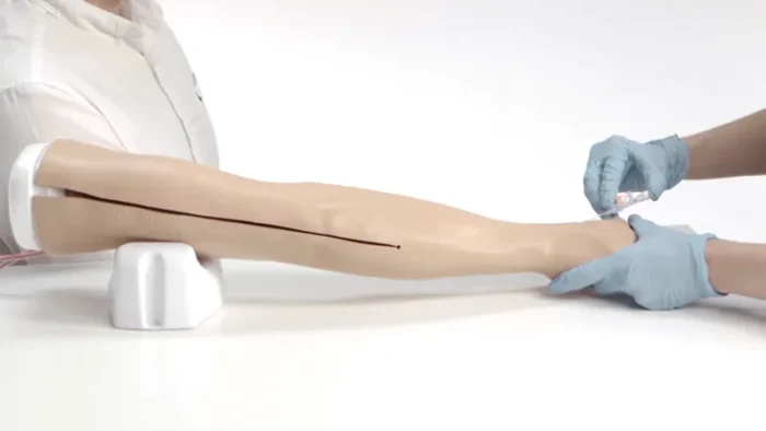 Standard Venipuncture Arm - Image 7